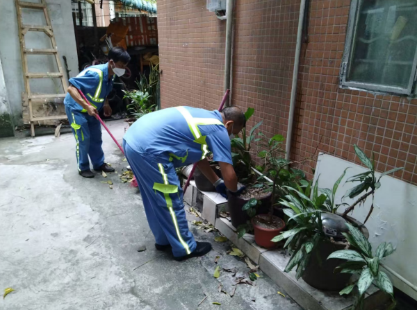 炒股哪个平台好 清死角除隐患！天河开展环境卫生综合整治，全力消除蚊媒孳生环境