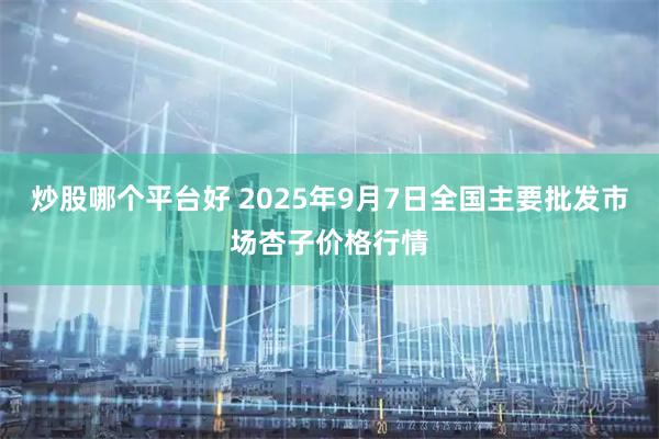 炒股哪个平台好 2025年9月7日全国主要批发市场杏子价格行情