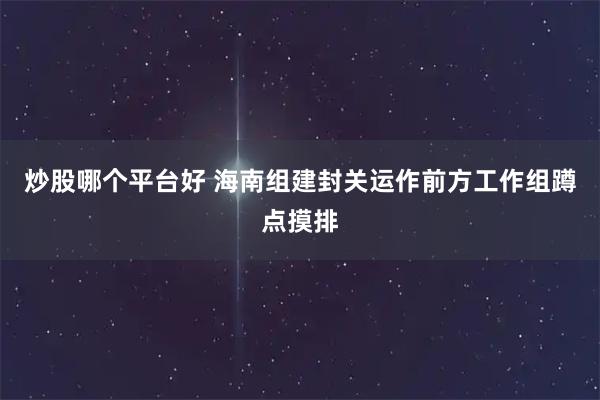 炒股哪个平台好 海南组建封关运作前方工作组蹲点摸排